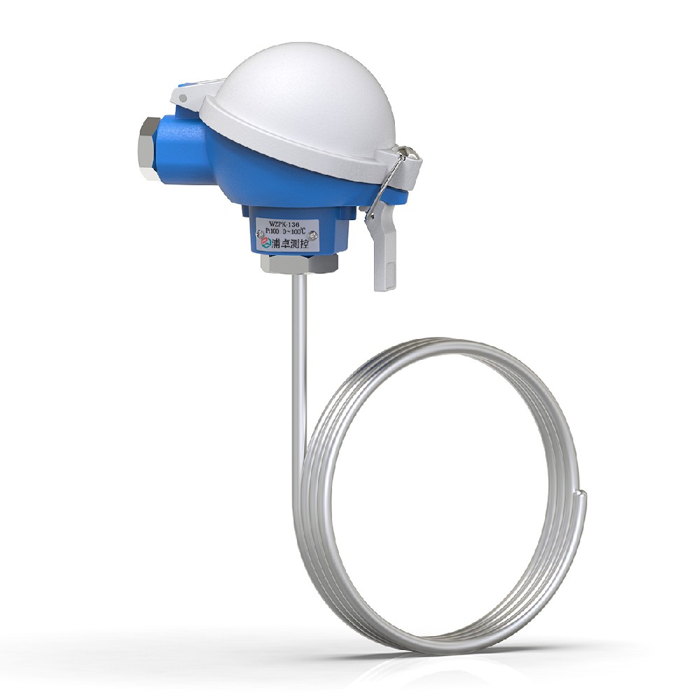 鎧裝熱電阻溫度變送器