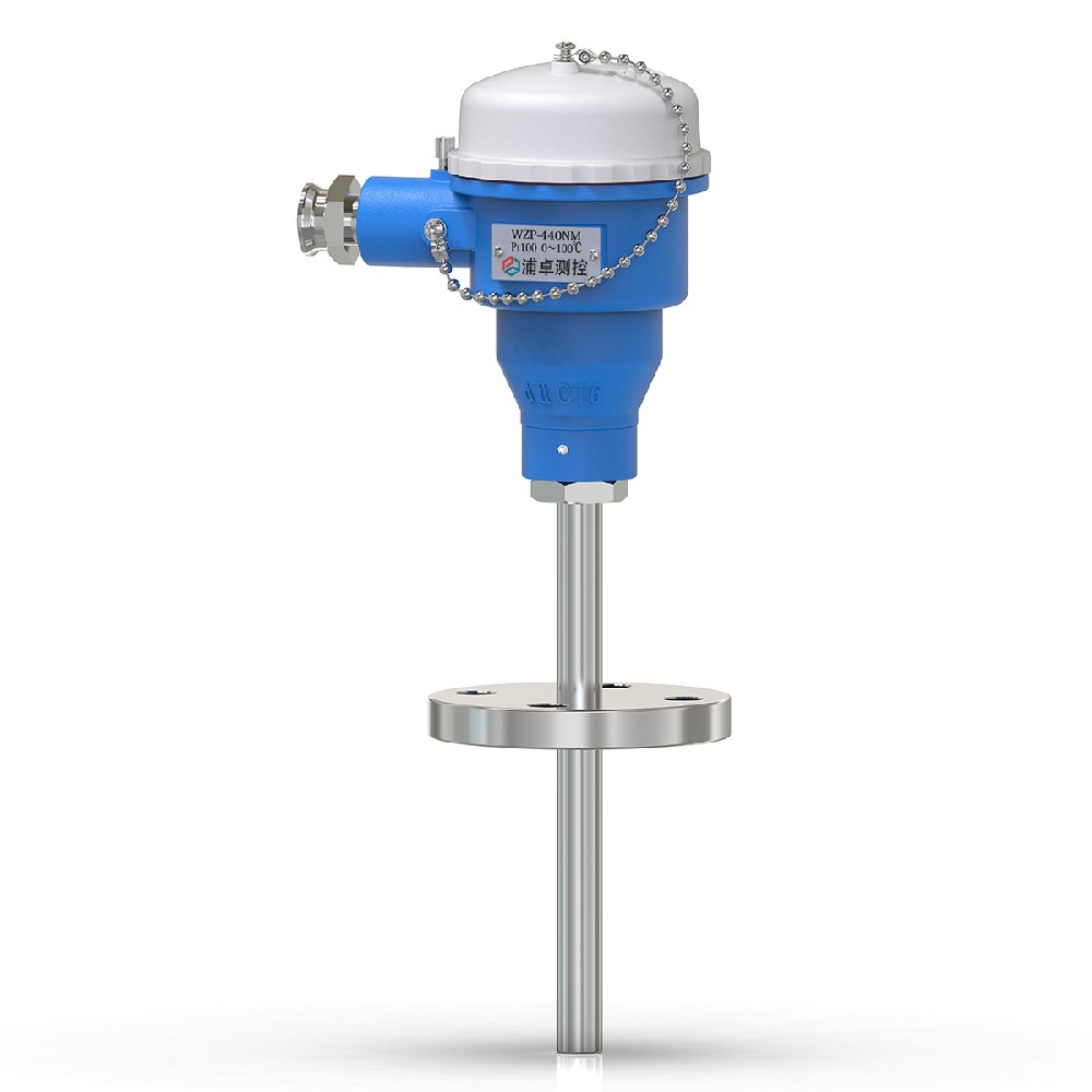 防爆耐磨熱電阻溫度變送器